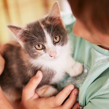 child holding cute kitten